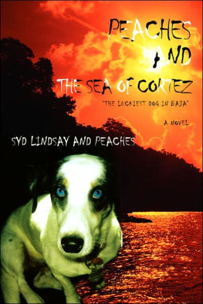 Peaches and the Sea of Cortez: The Luckiest Dog in Baja