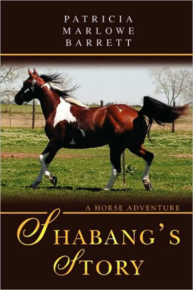 Shabang's Story: A Horse Adventure