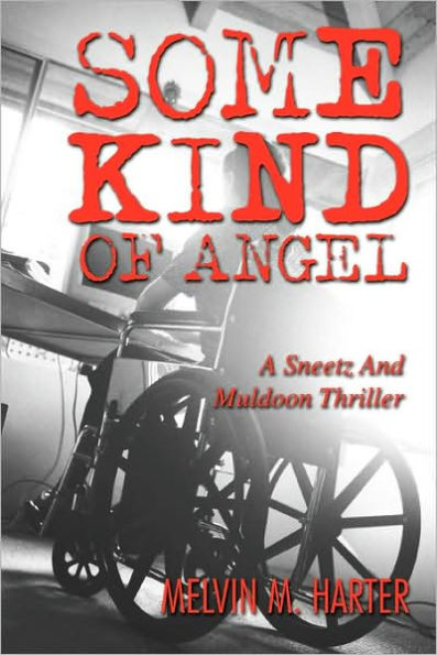 Some Kind of Angel: A Sneetz and Muldoon Thriller