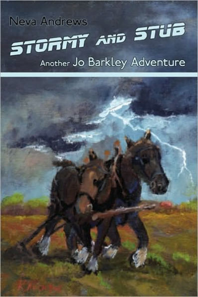 Stormy and Stub: Another Jo Barkley Adventure