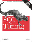 Alternative view 1 of SQL Tuning: Generating Optimal Execution Plans