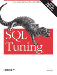 Alternative view 2 of SQL Tuning: Generating Optimal Execution Plans