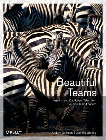 Beautiful Teams: Inspiring and Cautionary Tales from Veteran Team Leaders