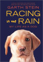 Racing In The Rain (Turtleback School & Library Binding Edition)