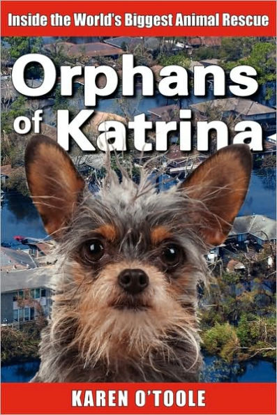 Orphans of Katrina