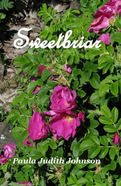 Sweetbriar