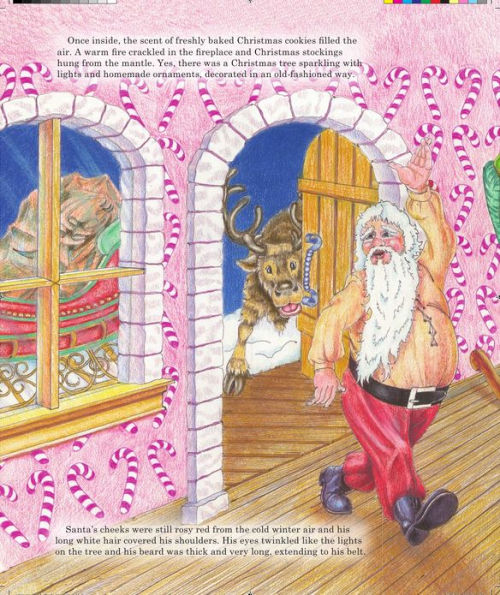 The Christmas Santa Had No Beard