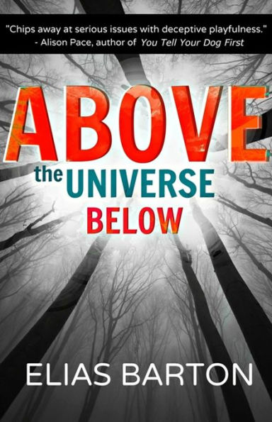 Above the Universe Below
