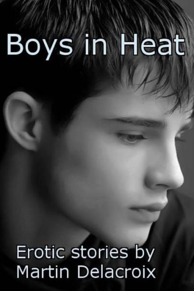 Boys in Heat: Erotic stories by Martin Delacroix