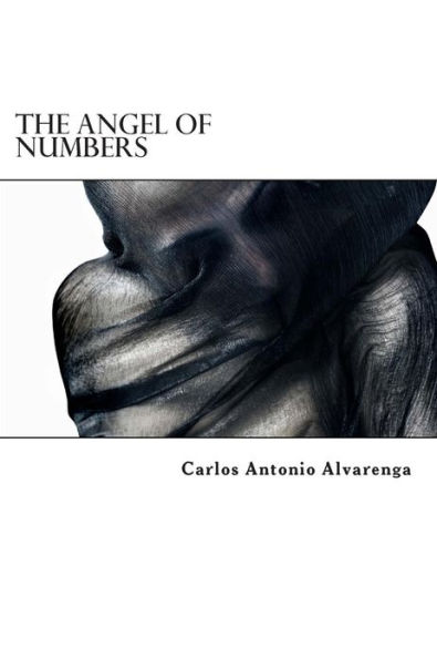The Angel of Numbers: Novel