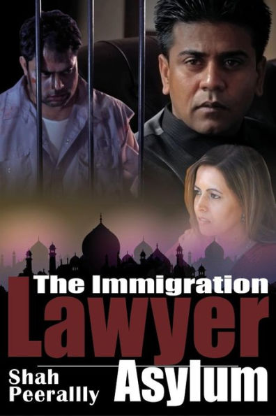 The Immigration Lawyer: Asylum