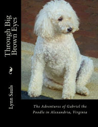 Title: Through Big Brown Eyes: The adventures of Gabriel the poodle in Alexandria, Virginia, Author: Lynn B Sauls