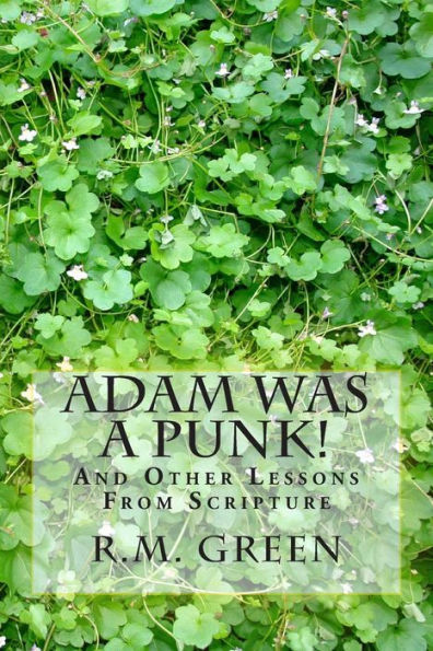 Adam Was A Punk!: And Other Lessons From Scripture