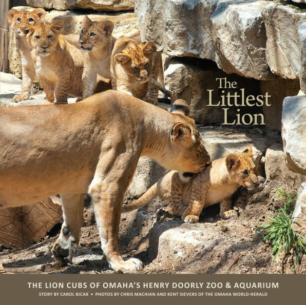 Littlest Lion: The Lion Cubs of Omaha's Henry Doorly Zoo & Aquarium