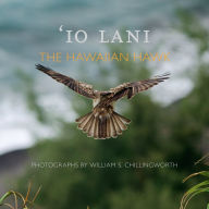 Title: IO Lani: The Hawaiian Hawk, Author: William S Chillingworth