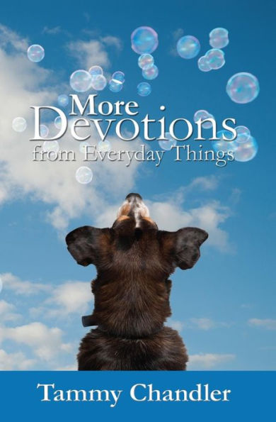 More Devotions from Everyday Things