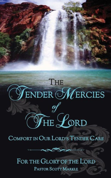 The Tender Mercies of The Lord: Comfort in Our Lord's Tender Care