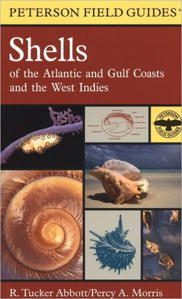 A Field Guide To Shells: Atlantic and Gulf Coasts and the West Indies