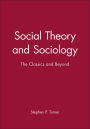 Social Theory and Sociology: The Classics and Beyond / Edition 1