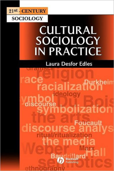 Cultural Sociology in Practice / Edition 1