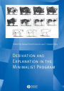 Derivation and Explanation in the Minimalist Program / Edition 1