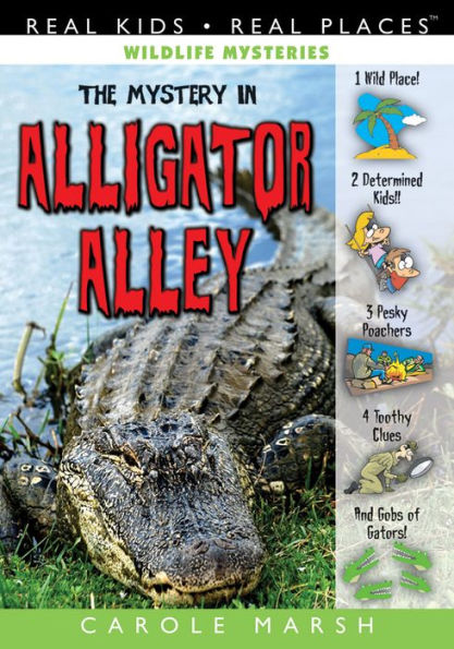 The Mystery in Alligator Alley
