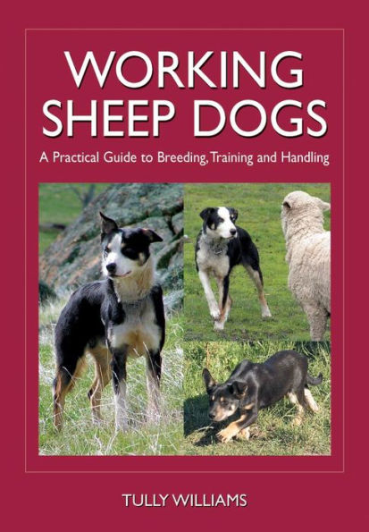 Working Sheep Dogs: A Practical Guide to Breeding, Training and Handling