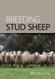 Title: Breeding Stud Sheep, Author: Murray Long