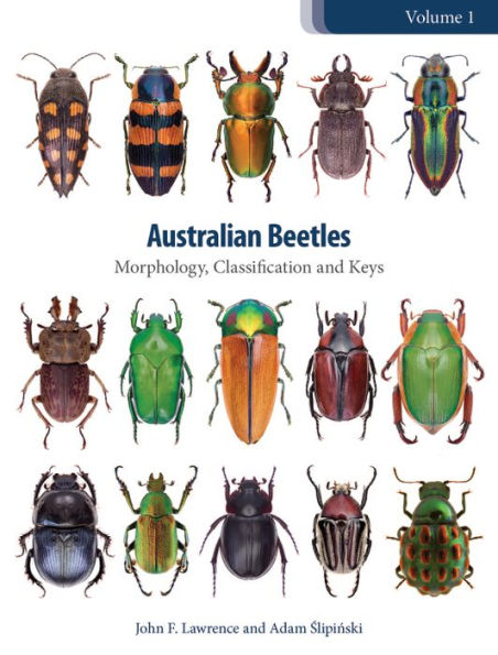 Australian Beetles [OP]: Morphology, Classification and Keys