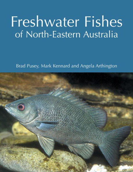 Freshwater Fishes of North-Eastern Australia