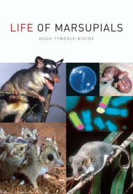 Title: Life of Marsupials, Author: Hugh Tyndale-Biscoe