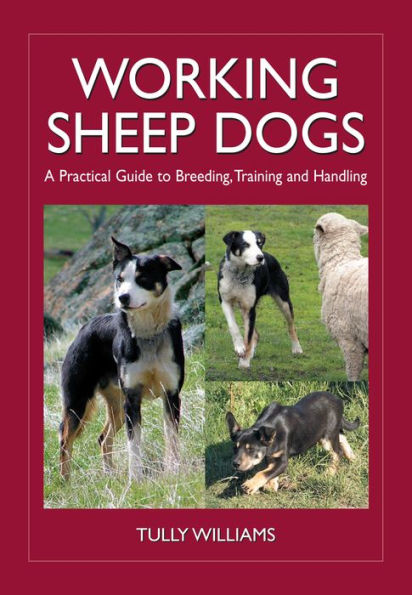 Working Sheep Dogs: A Practical Guide to Breeding, Training and Handling