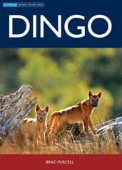 Title: Dingo, Author: Brad Purcell