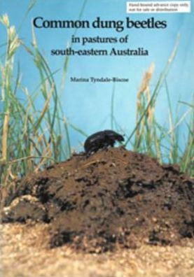 Common Dung Beetles in Pastures of South-eastern Australia