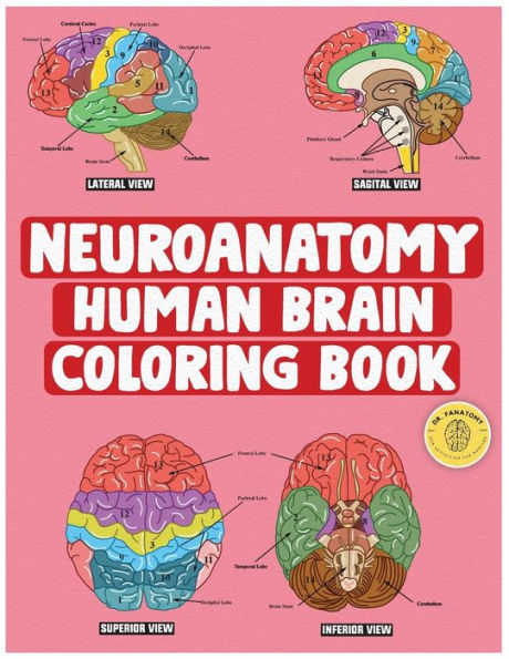 Neuroanatomy Human Brain Coloring Book: Neuroscience Coloring Book with MCQs ( Multiple Choice Questions) A Gift for Medical School Students, Nurses, Doctors and Adults