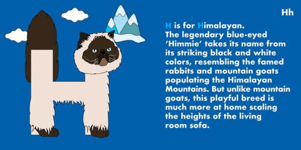 Cat Alphabet