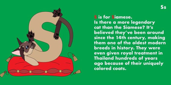 Cat Alphabet