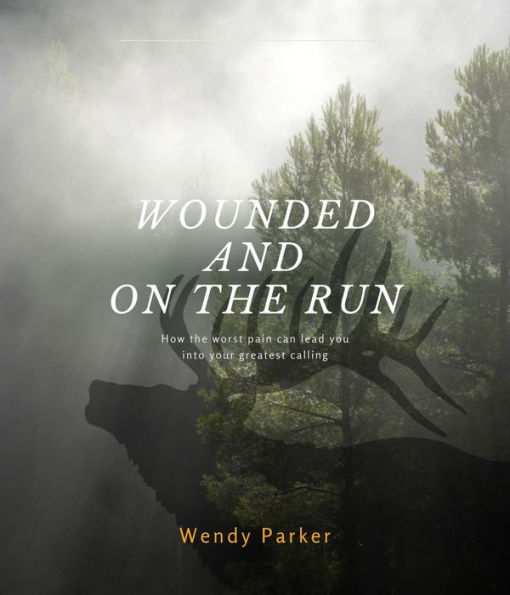 Wounded and On the Run