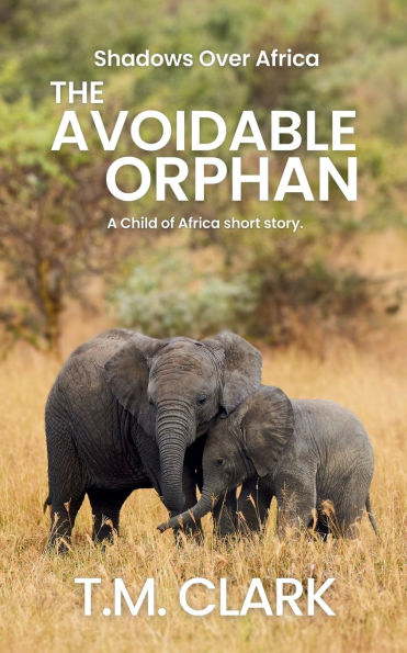 The Avoidable Orphan: a Child of Africa Story