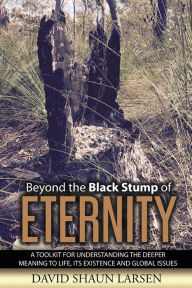 Title: Beyond the Black Stump of Eternity: A Toolkit for Understanding the Deeper Meaning to Life, its Existence and Global Issues, Author: Brian Hyphen