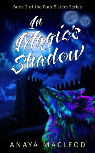 In Magic's Shadow: Book 2 of The Four Sisters Series