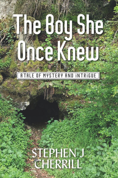 The Boy She Once Knew: A Tale of Mystery and Intrigue