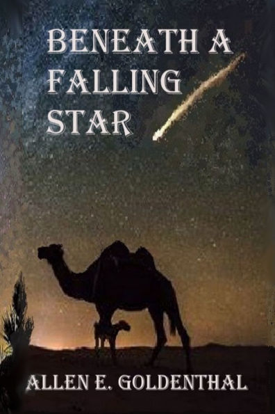 Beneath A Falling Star