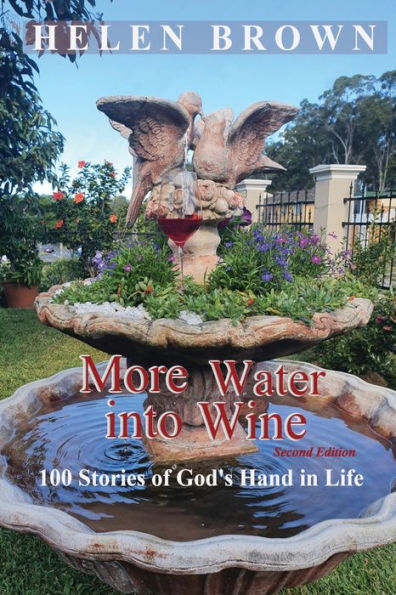 More Water into Wine: 100 Stories of God's Hand Life