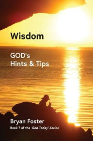Title: Wisdom: GOD's Hints and Tips, Author: Bryan W Foster