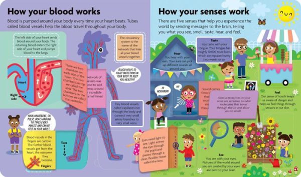 Discover the Human Body: Lift-the-Flap Book: Board Book with Over 50 Flaps to Lift!