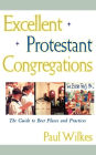 Excellent Protestant Congregations: The Guide to Best Places and Practices