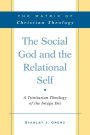 The Social God and the Relational Self: A Trinitarian Theology of the Imago Dei