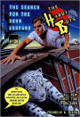 The Search for the Snow Leopard (Hardy Boys Series #139)