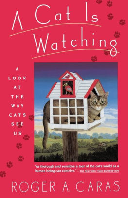 A Cat Is Watching By Roger A Caras Paperback Barnes Noble